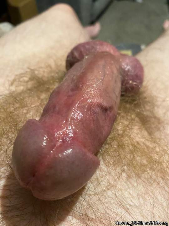 Photo of a middle leg from Xavier_29