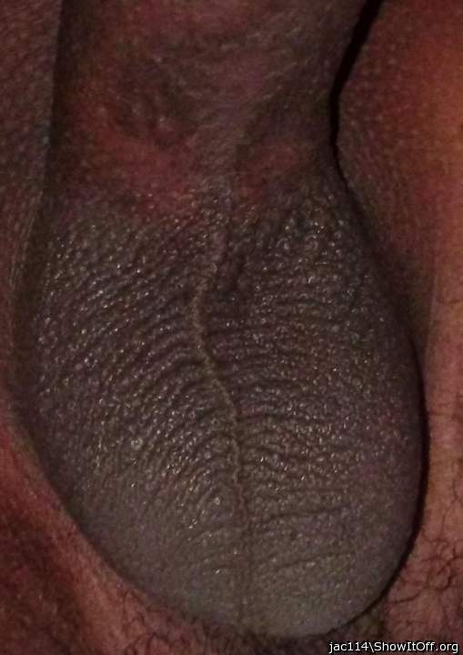 Testicles Photo from jac114