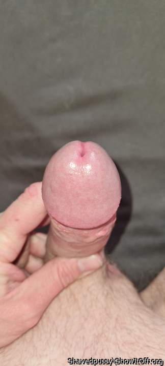 Photo of a horn from Shavedpussy