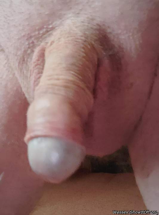 Photo of a bald-headed mouse from Wessex