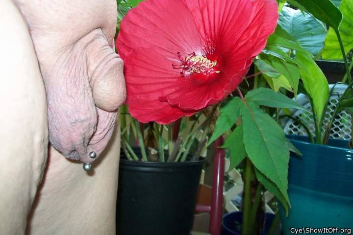 Photo of a jackhammer from Cye