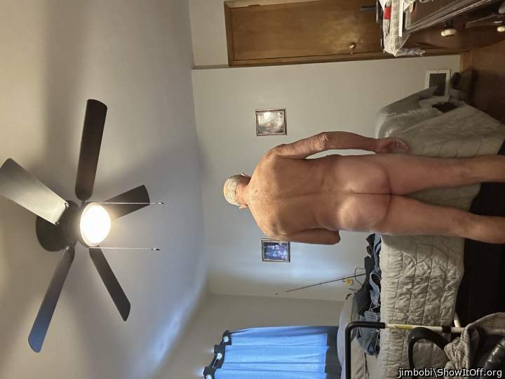 Photo of a lizard from jimbobi