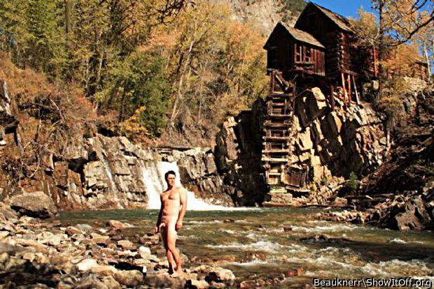 Photo of a cock from Beauknerr