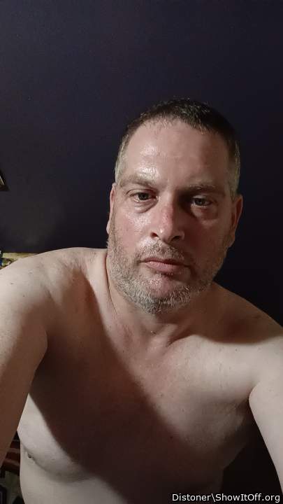 Photo of a cock from Distoner