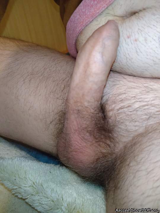 Photo of a cock from Aaccee