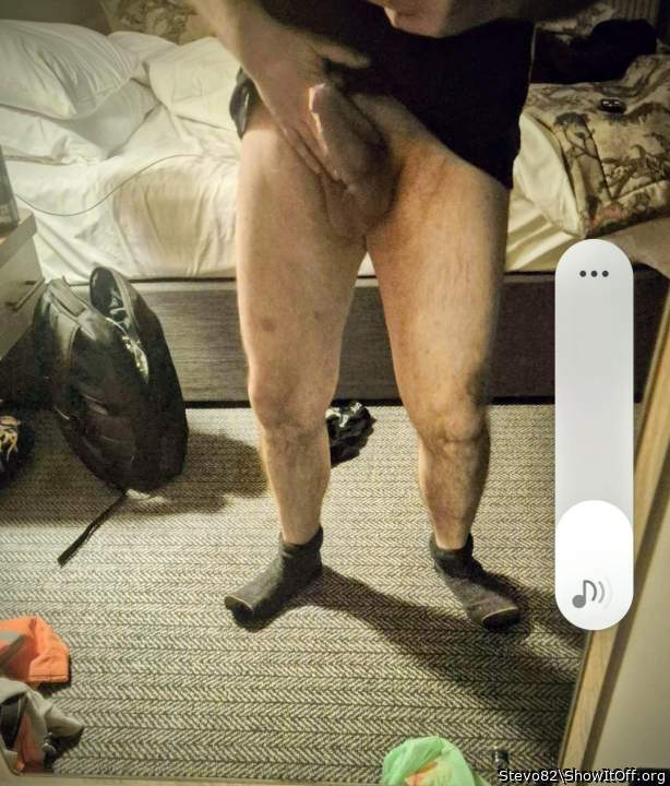 Photo of a weasel from Stevo82