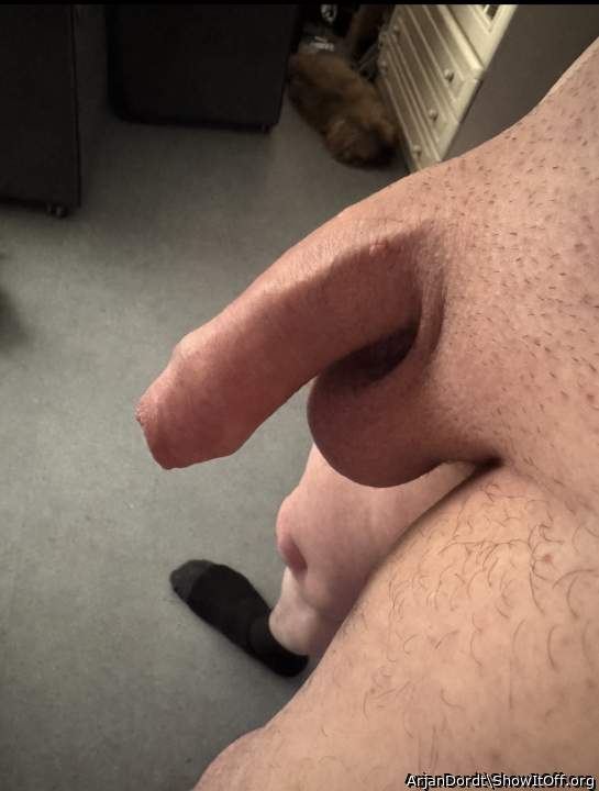 nice smooth dick 