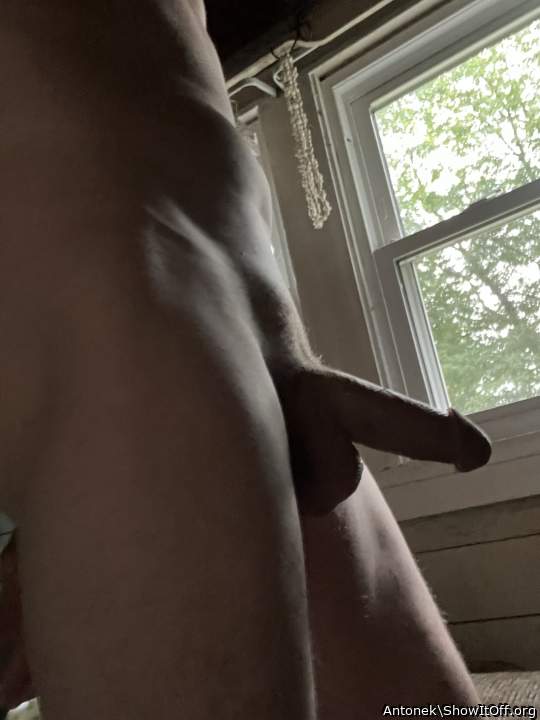 Photo of a horn from Antonek