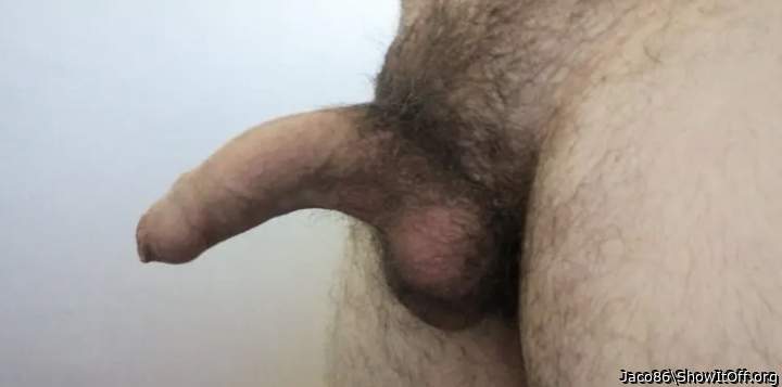Photo of a penile from Jaco86