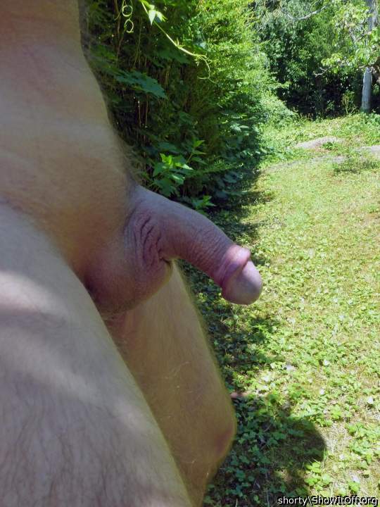 Photo of a middle leg from shorty