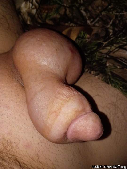 Fat cock and balls