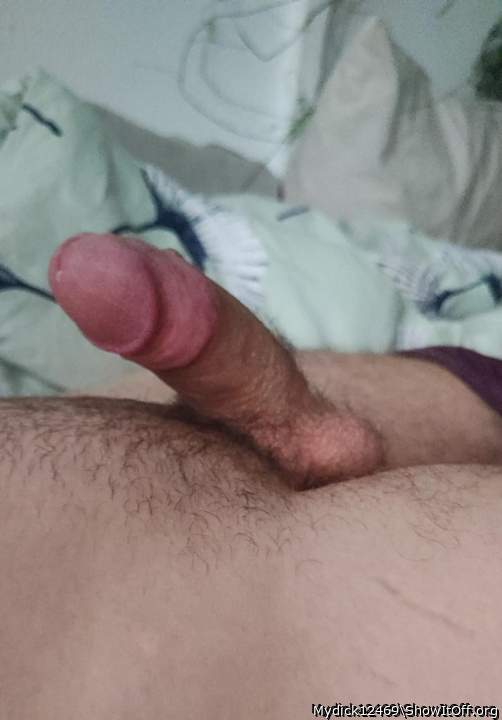 My slaves dick. Hes been cut 2 months ago and is only 8cm stiff &#129394;