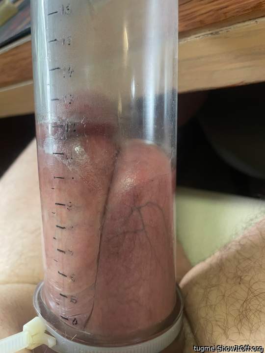 Photo of a snake from tugme