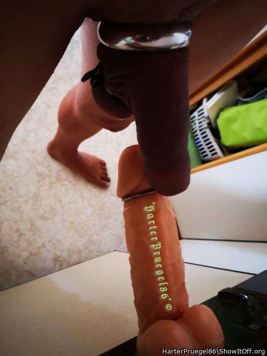 Photo of a third leg from HarterPruegel86