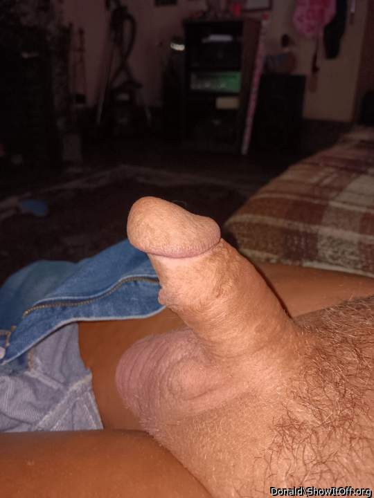 Photo of a dong from Donald