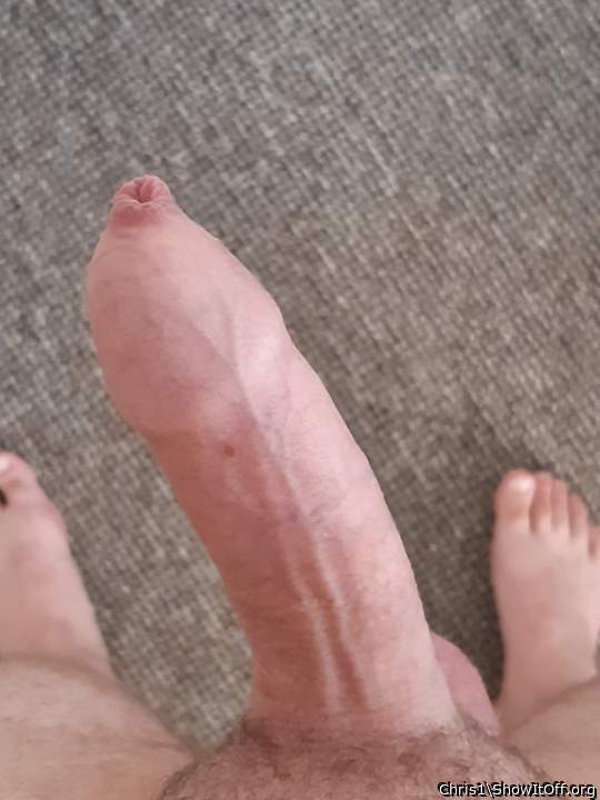 Photo of a boner from chris1