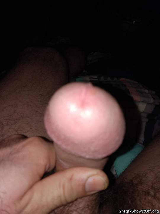 Photo of a weasel from Gregf
