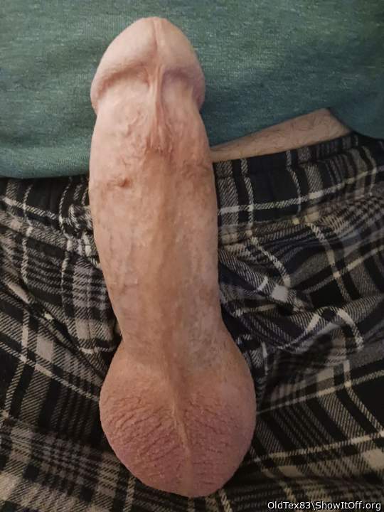 Photo of a weasel from OldTex83