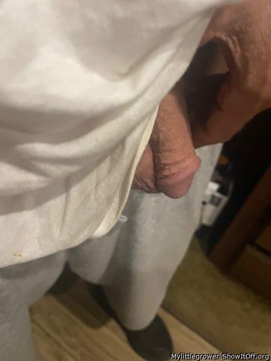 Photo of a pocket rocket from Mylittlegrower