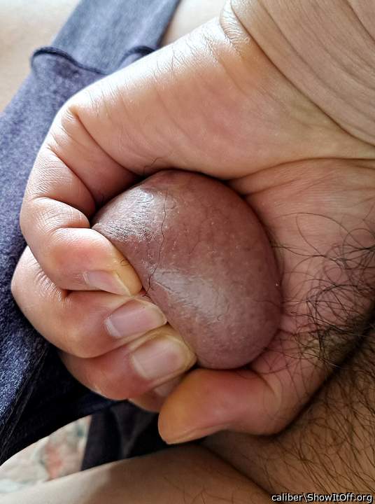 Testicles Photo from caliber