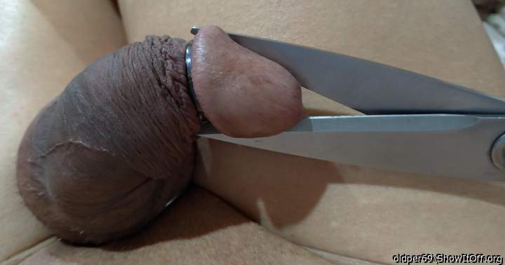 Photo of a sausage from oldper69