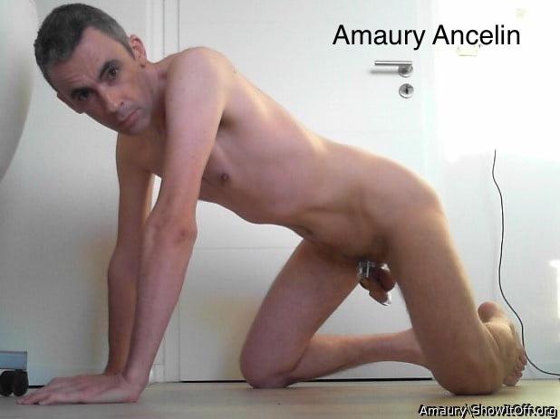 Adult image from Amaury