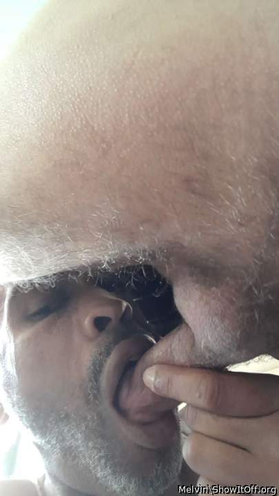 Photo of a python from Melvin