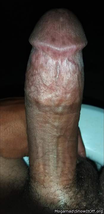 Photo of a dick from Mogamad