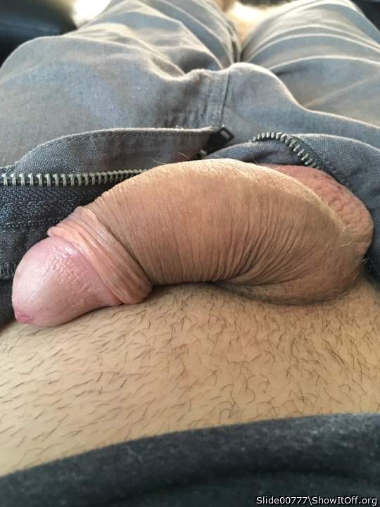 Photo of a dick from Slide00777