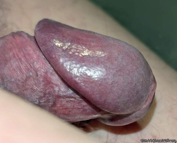 Hardened by Long Abstinence!