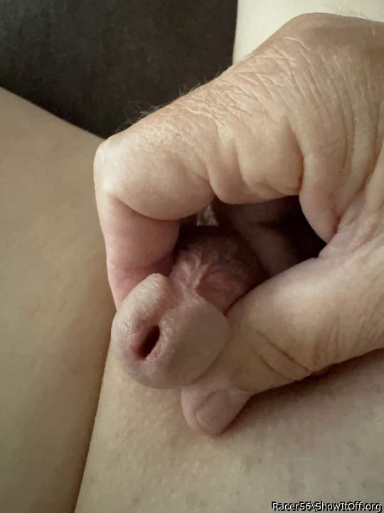 Photo of a cock from Racer56