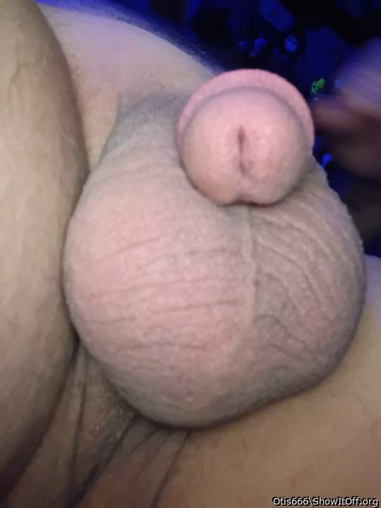 Photo of a power tool from Otis666