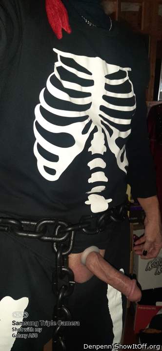 Photo of a rooster from Denpenn