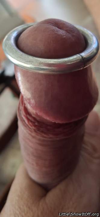Photo of a dong from Little