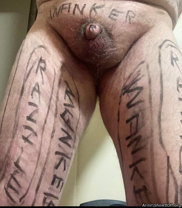 Photo of a cavalier from Arinn