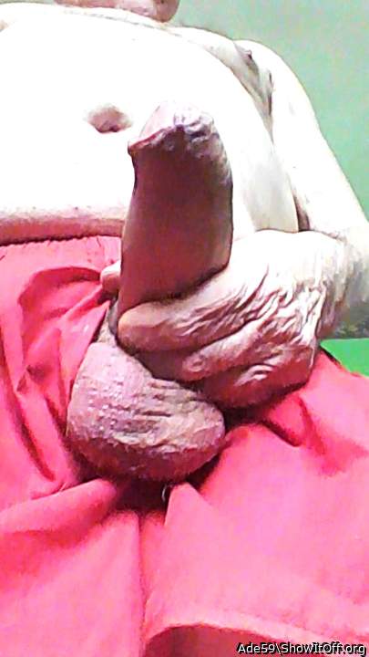 Photo of a middle leg from Ade59