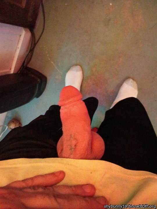 Photo of a dong from shybunny19