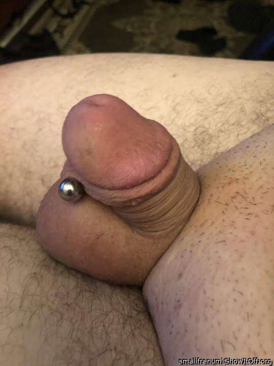 small piering penis