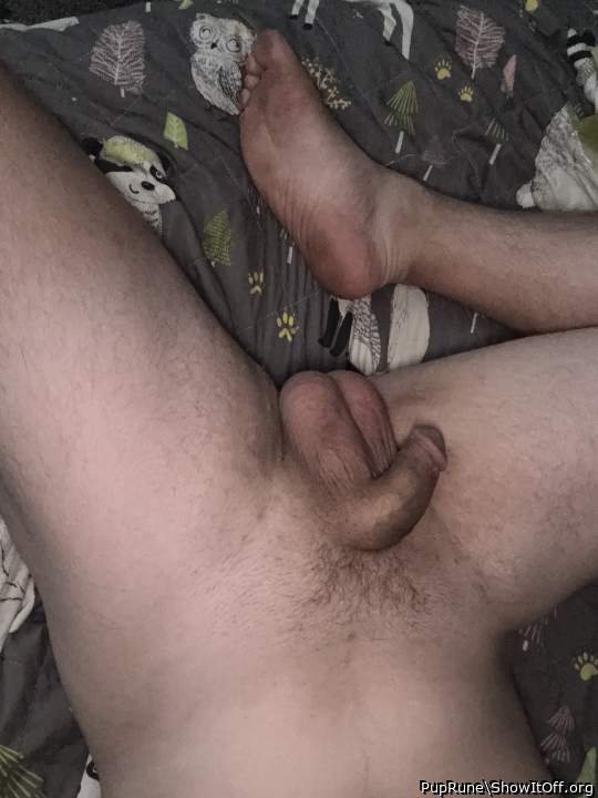 Plenty to lick and sniff