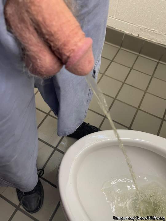 Photo of a python from Diaperboy