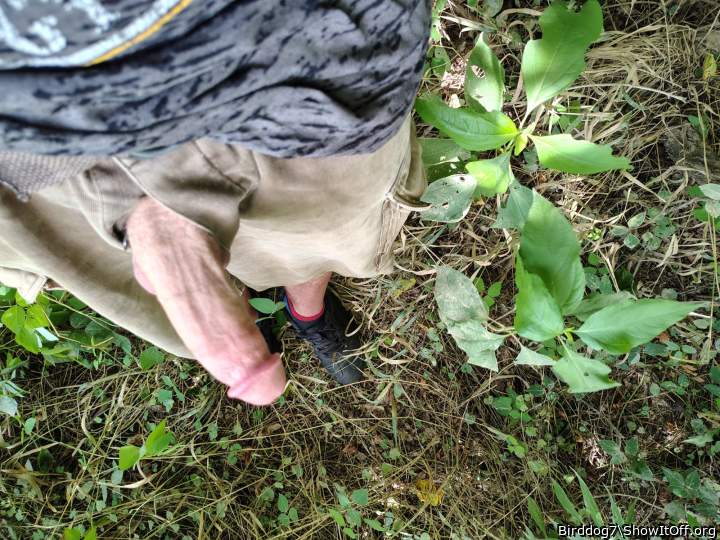 Photo of a equipment from Birddog7