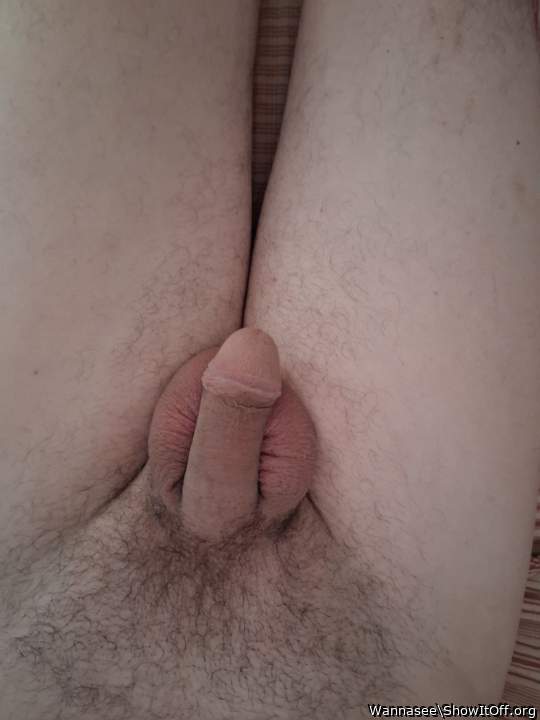 Photo of a wiener from Wannasee