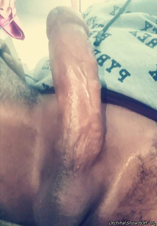 Photo of a middle leg from Otchiha