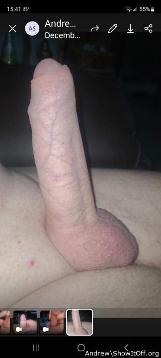 Photo of a bat from Andrew