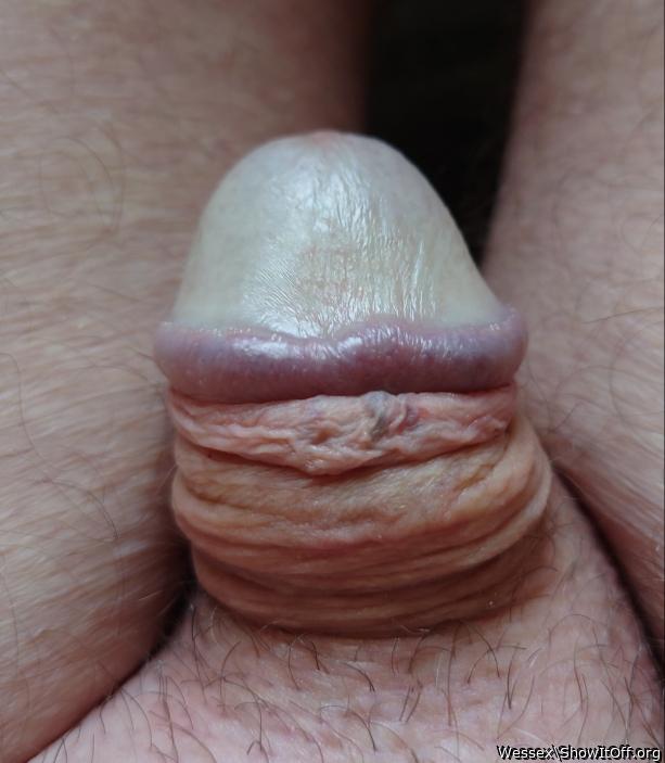 Photo of a meat stick from Wessex