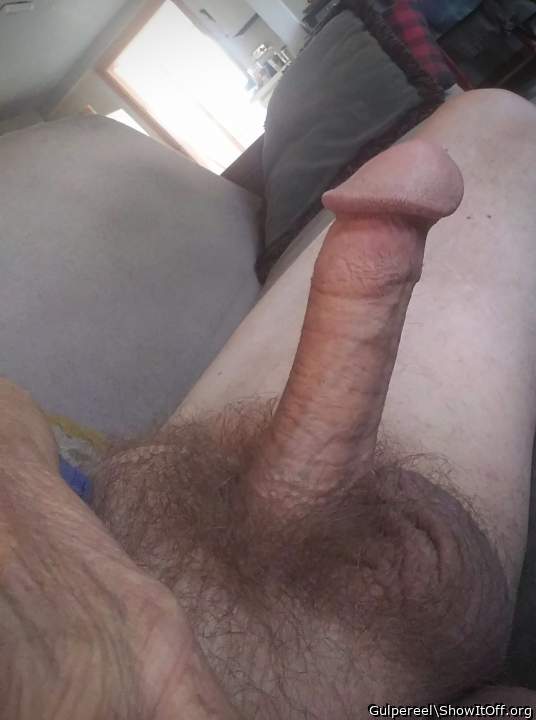 beautiful suckable cock 