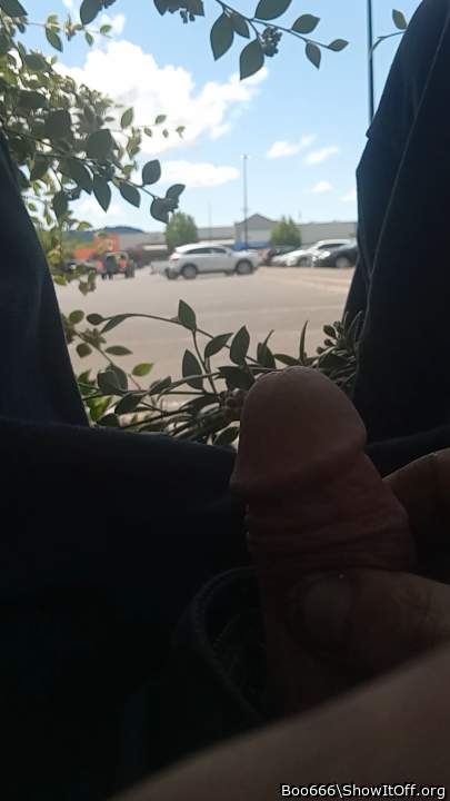 Photo of a ram rod from Boo666