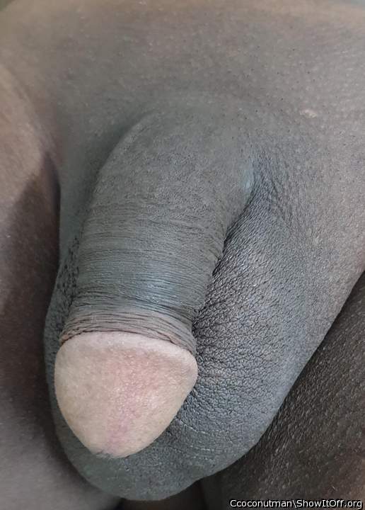 a wonderful black cock, my Wife want feel him in here shaved