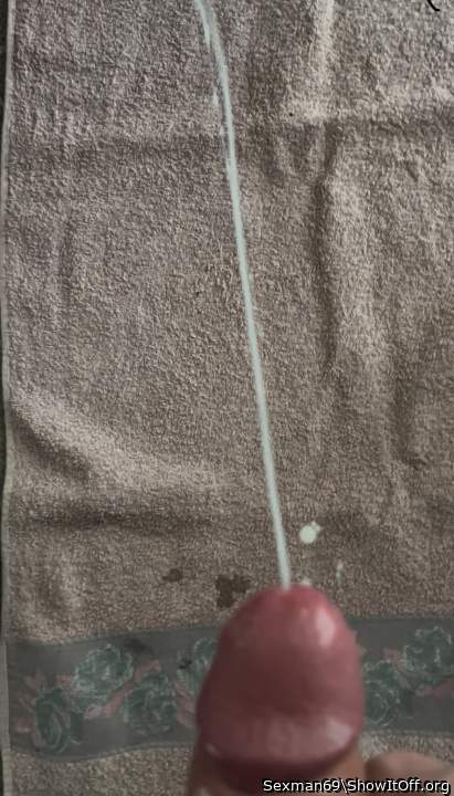 Photo of a bald-headed mouse from Sexman69