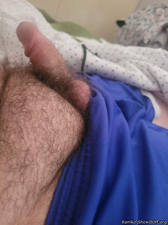 Part  2 of morning  wood